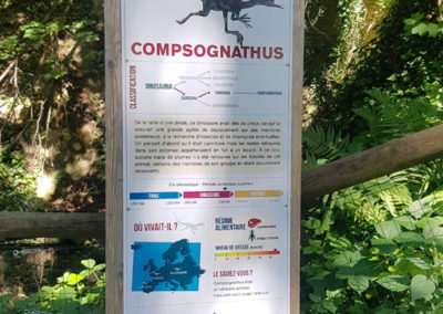 Visite - Dino-Zoo - chemin didactiques