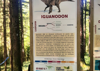 Visite - Dino-Zoo - chemin didactiques