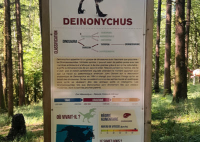 Visite - Dino-Zoo - chemin didactiques