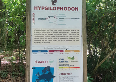 Visite - Dino-Zoo - chemin didactiques
