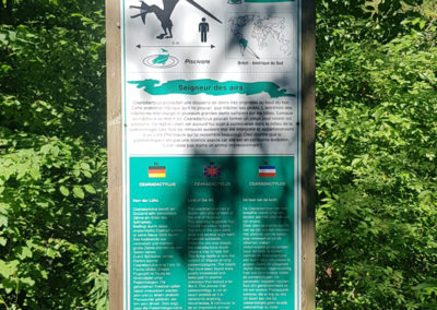 Visite - Dino-Zoo - chemin didactiques