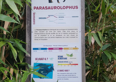 Visite - Dino-Zoo - chemin didactiques