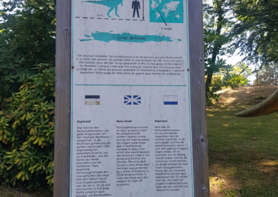 Visite - Dino-Zoo - chemin didactiques