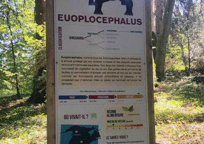 Visite - Dino-Zoo - chemin didactiques