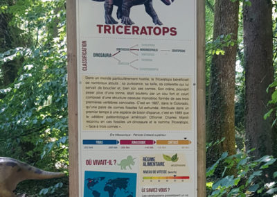 Visite - Dino-Zoo - chemin didactiques