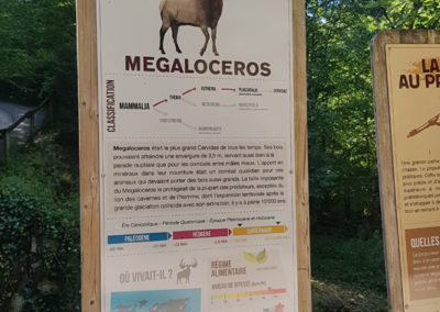Visite - Dino-Zoo - chemin didactiques