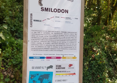 Visite - Dino-Zoo - chemin didactiques