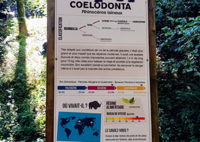 Visite - Dino-Zoo - chemin didactiques