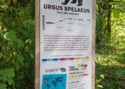 Visite - Dino-Zoo - chemin didactiques