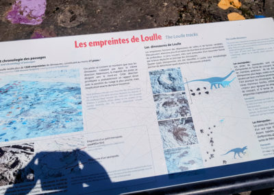 Visite - Site à pistes de dinosaures à Loulle