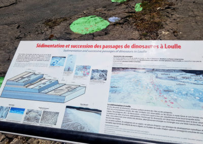 Visite - Site à pistes de dinosaures à Loulle