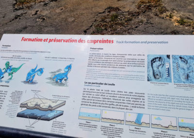 Visite - Site à pistes de dinosaures à Loulle