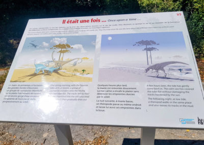 Visite - Site à pistes de dinosaures à Loulle