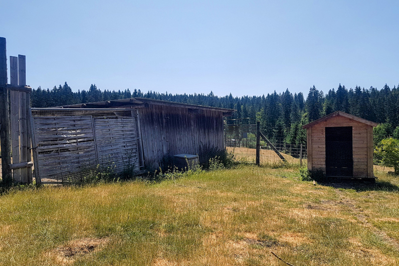 Visite - Parc polaire de Chaux-Neuve