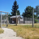 Visite - Parc polaire de Chaux-Neuve