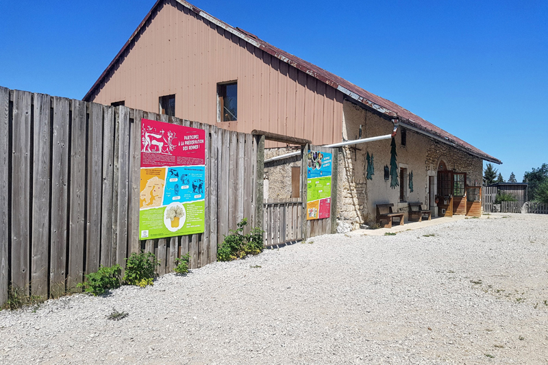 Visite - Parc polaire de Chaux-Neuve