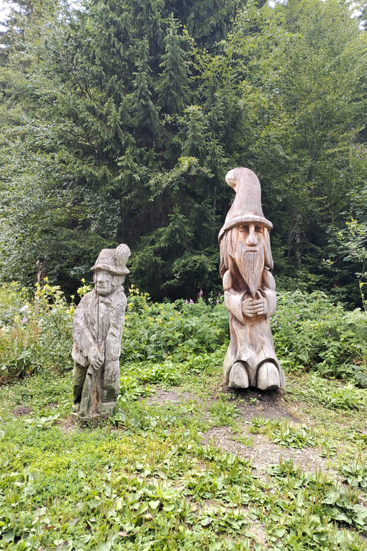 Randonnée - Sortie nature - Créer son herbier