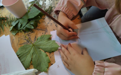 Sortie nature, créer son herbier