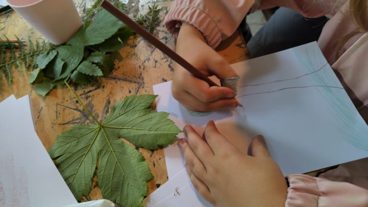 Sortie nature, créer son herbier