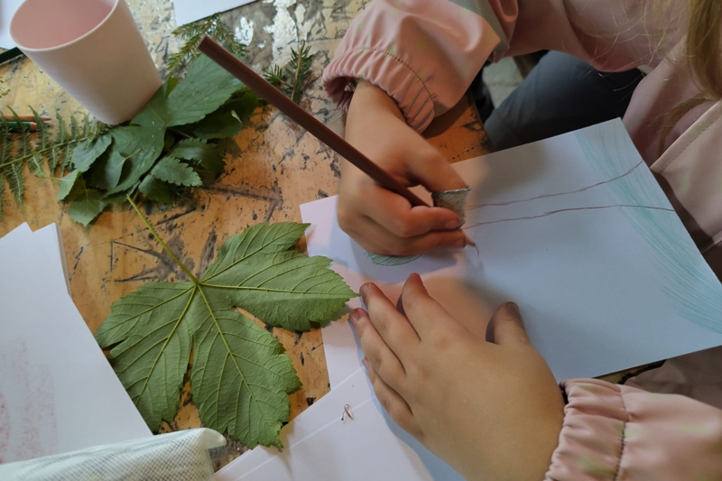 Sortie nature, créer son herbier