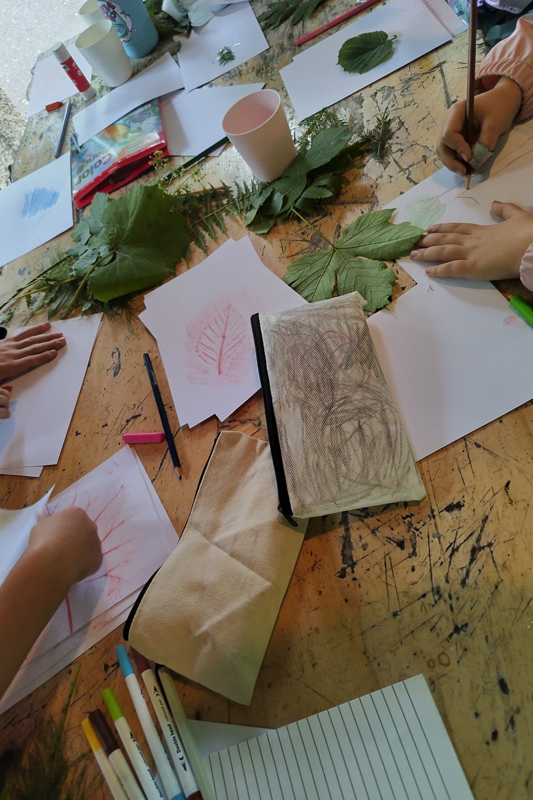 Randonnée - Sortie nature - Créer son herbier