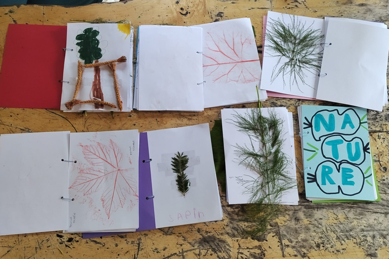 Randonnée - Sortie nature - Créer son herbier