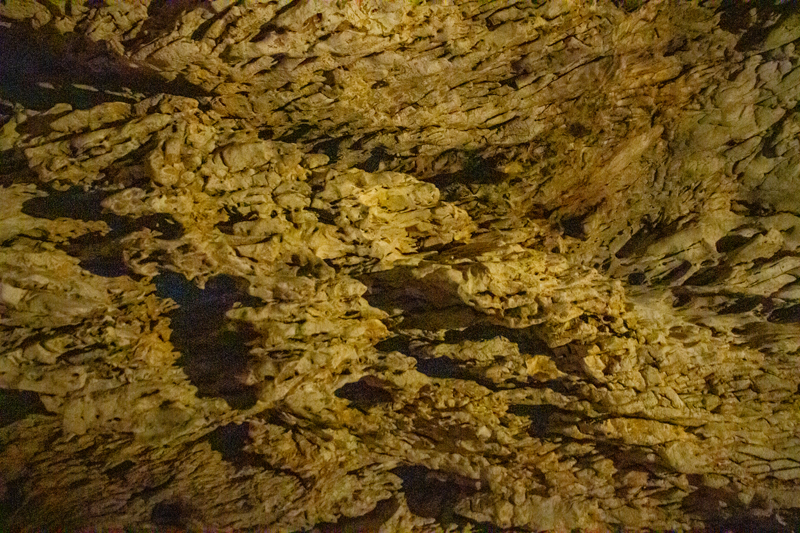 Visite - Grottes de Vallorbe