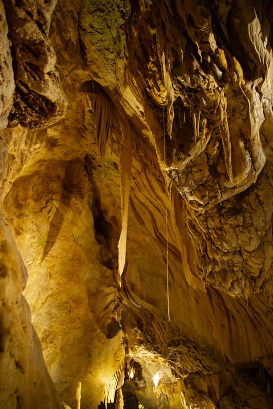 Visite - Grottes de Vallorbe