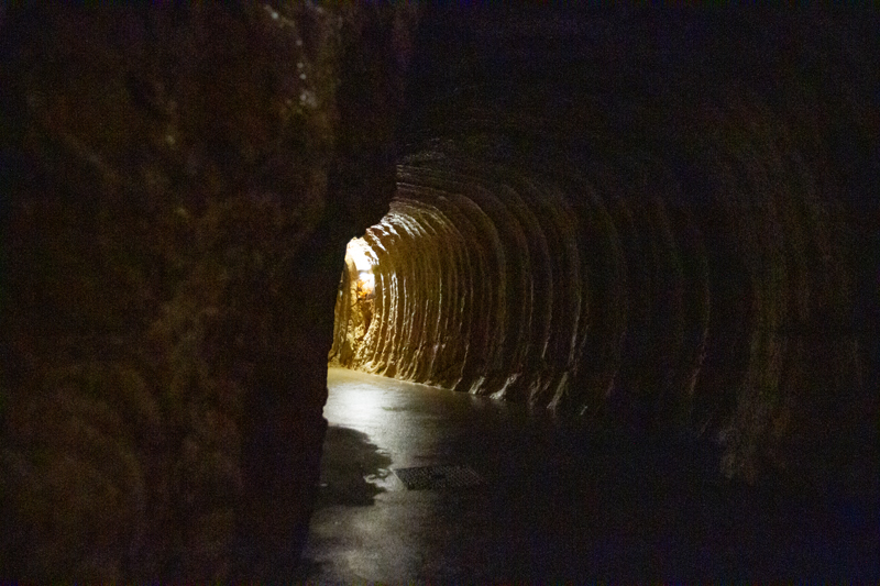 Visite - Grottes de Vallorbe