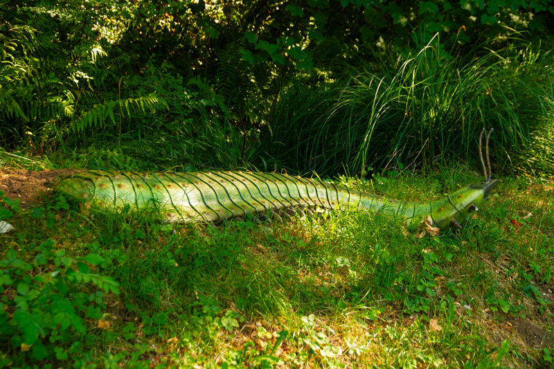Visite - Dino-Zoo