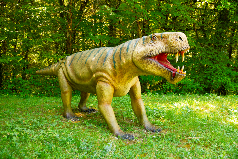 Visite - Dino-Zoo