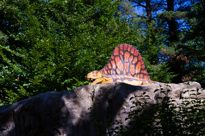 Visite - Dino-Zoo