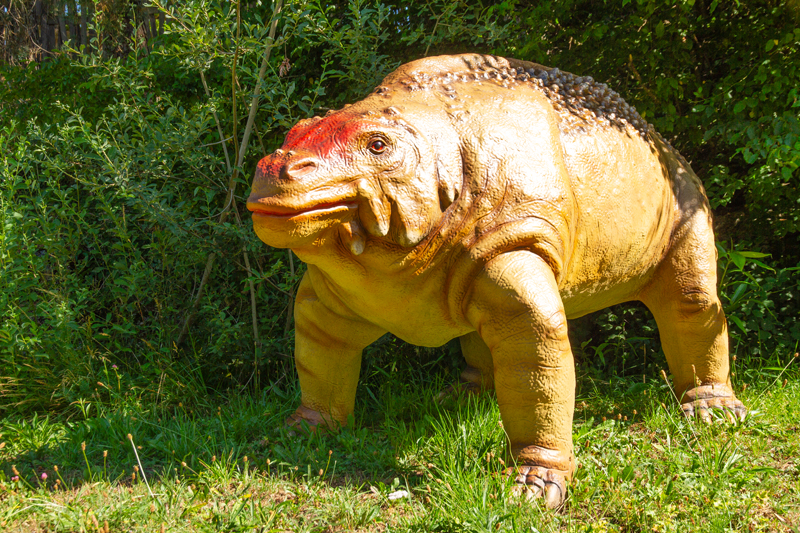 Visite - Dino-Zoo