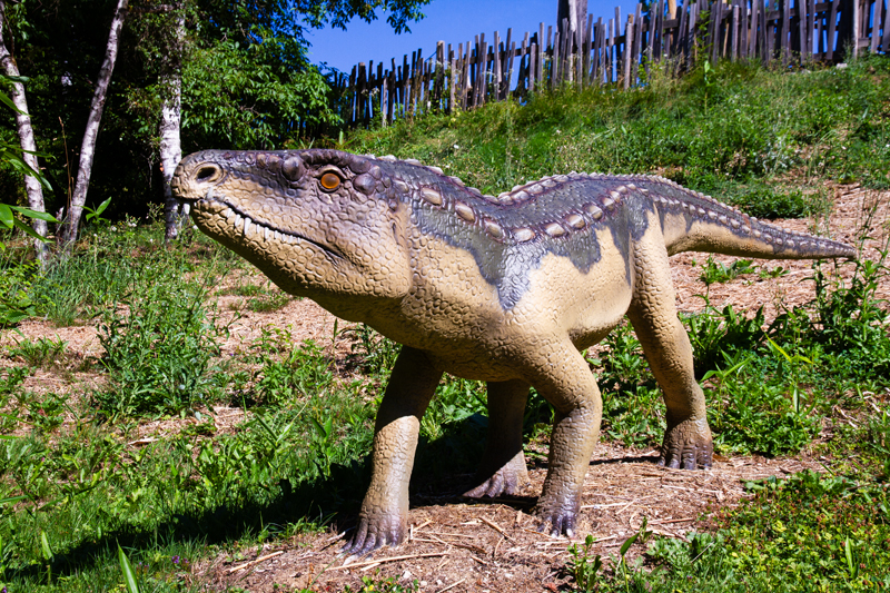 Visite - Dino-Zoo