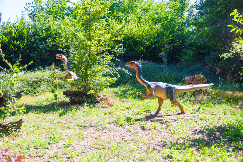 Visite - Dino-Zoo