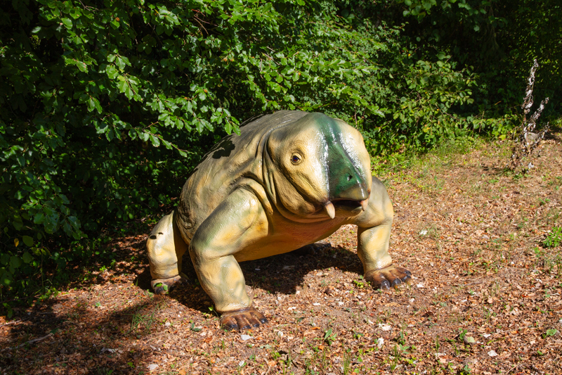 Visite - Dino-Zoo