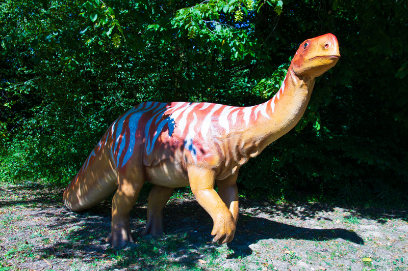Visite - Dino-Zoo