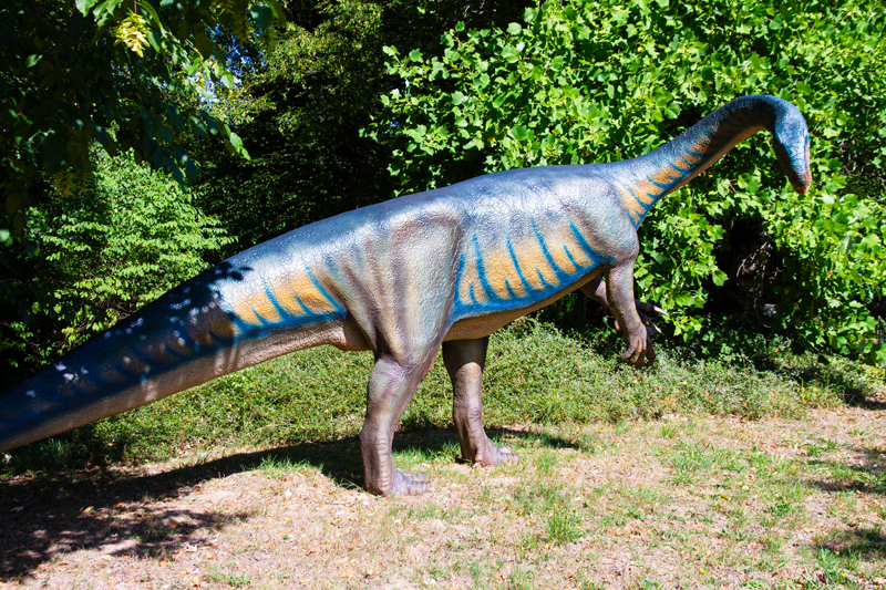 Visite - Dino-Zoo