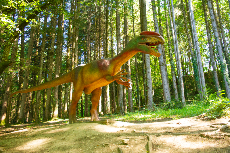 Visite - Dino-Zoo