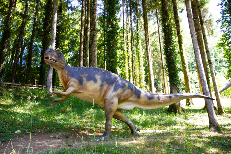 Visite - Dino-Zoo