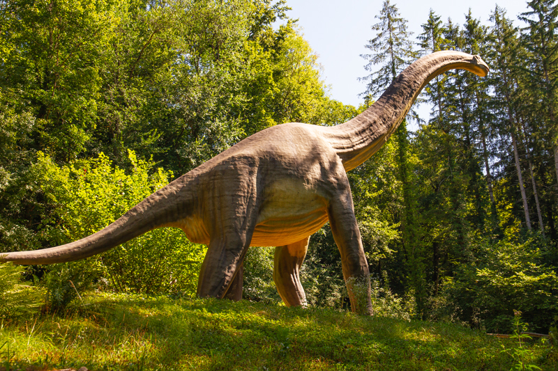 Visite - Dino-Zoo