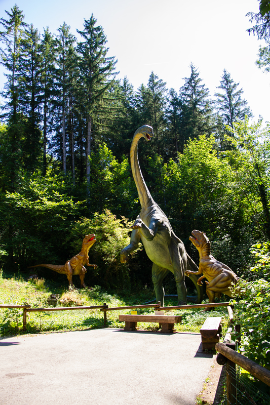 Visite - Dino-Zoo