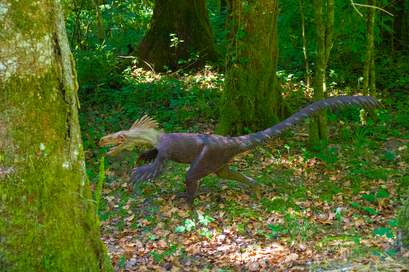 Visite - Dino-Zoo