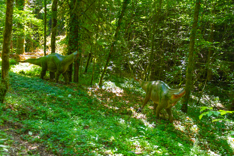 Visite - Dino-Zoo