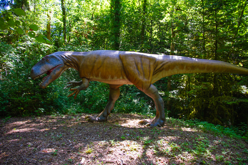 Visite - Dino-Zoo