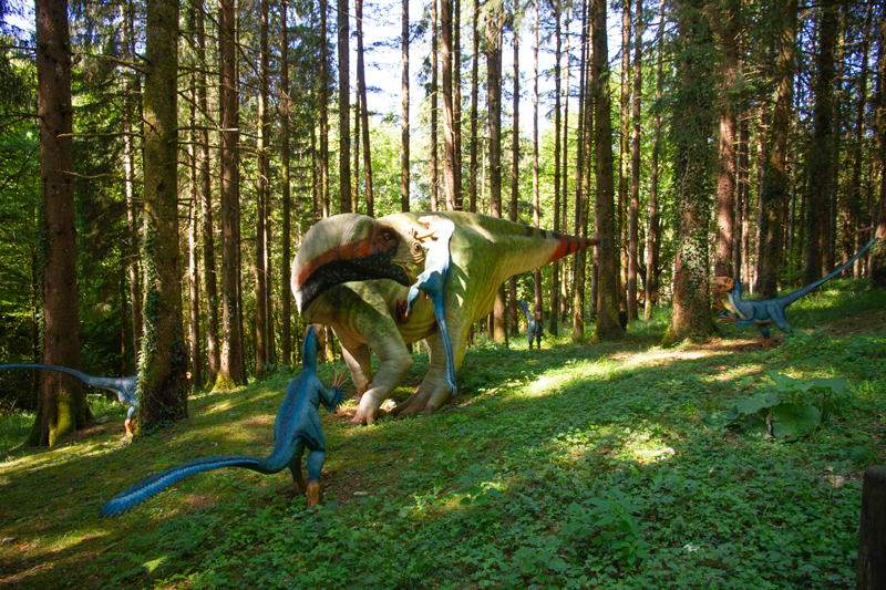 Visite - Dino-Zoo