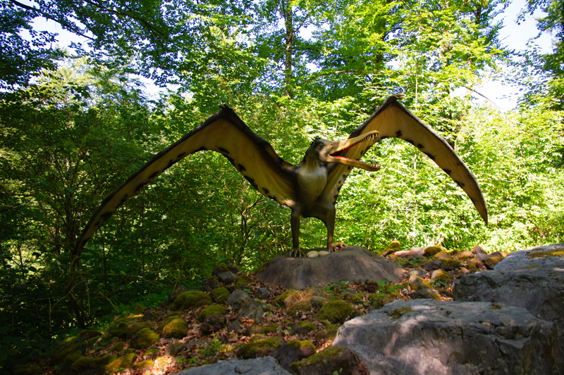 Visite - Dino-Zoo