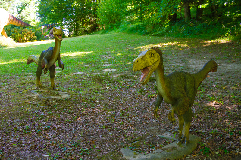Visite - Dino-Zoo
