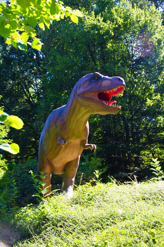 Visite - Dino-Zoo