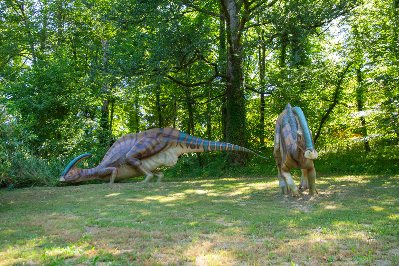 Visite - Dino-Zoo